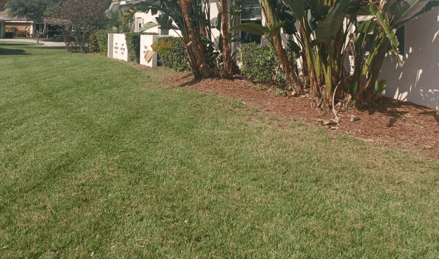 Lawn Mowing